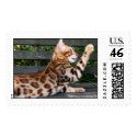 Bengal Cat stamp