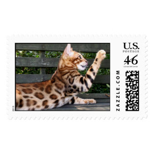 Bengal Cat stamp