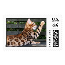 Bengal Cat stamp