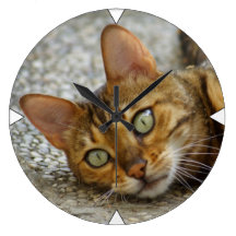 Bengal Cat Wall Clock