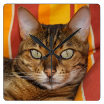 Bengal Cat Wallclocks
