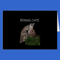 BENGAL CATS cards