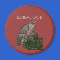 BENGAL CATS magnets