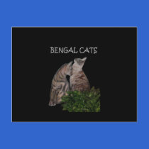 BENGAL CATS postcards