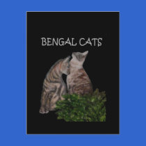 BENGAL CATS postcards
