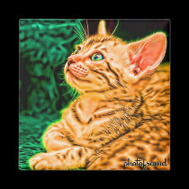 Bengal Kitten 2 Pop magnets