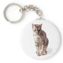 Bengal Kitten licking lips keychains