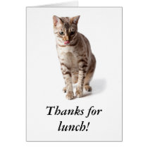 Bengal kitten says thanks for lunch cards