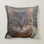 bengal cat pillow