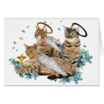 Bengal Perfect Angel Cards