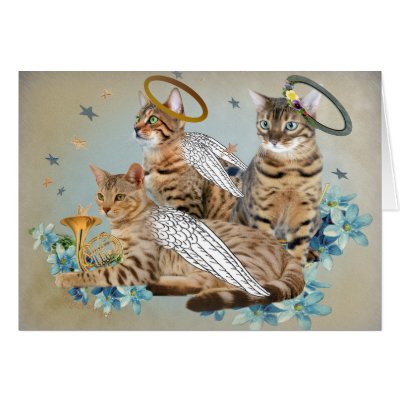 Bengal Perfect Angels cards by friskybiz