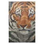 Bengal Prowl Stationary Stationery