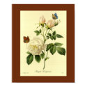 Bengal Rose 16 X 20 posters