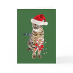Bengal Santa gifts Greeting Card
