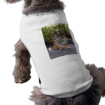 Bengal Tiger-002 pet clothing