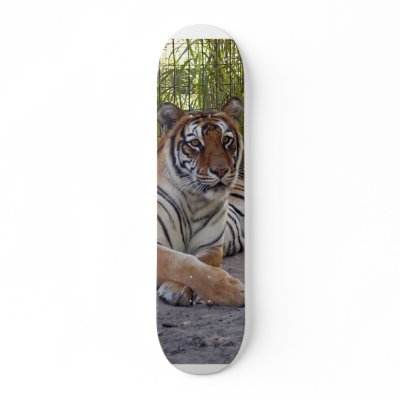 Bengal Tiger 002 Skateboard by NatureByDesign
