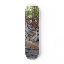 Bengal Tiger 002 Skateboard