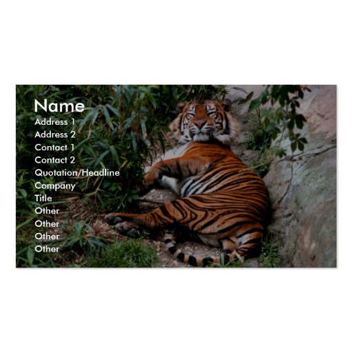 Bengal Tiger Business Card Template (front side)
