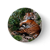 Bengal Tiger Buttons