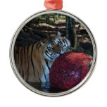 Bengal Tiger Christmas Ornament