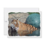 Bengal Tiger Customizable Stylized Invitation