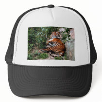Bengal Tiger Trucker Hats