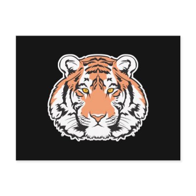 bengal tiger head postcard by doonidesignsanimals