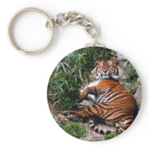 Bengal Tiger Key Chain