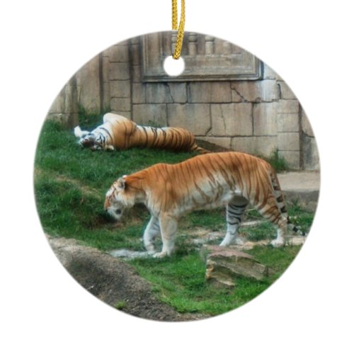 Bengal Tiger Ornament ~ Endangered Species Series ornament