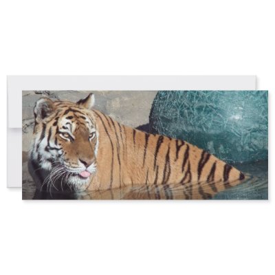 Bengal Tiger Photo Bookmark Custom Rack Card by CeruleanSkyStudios
