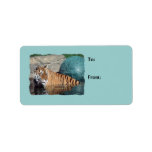Bengal Tiger Photo Light Blue Gift Tags Custom Address Label