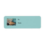 Bengal Tiger Photo Light Blue Gift Tags Custom Return Address Labels