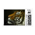 Bengal Tiger postage by gabycat Bengal Tiger postage