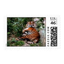 Bengal Tiger Postage