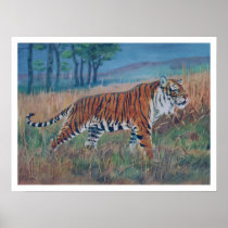 Bengal Tiger Poster posters