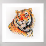 Bengal Tiger Print