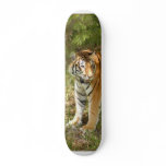Bengal Tiger Skateboard