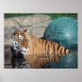 Bengal Tiger Small Canvas Print