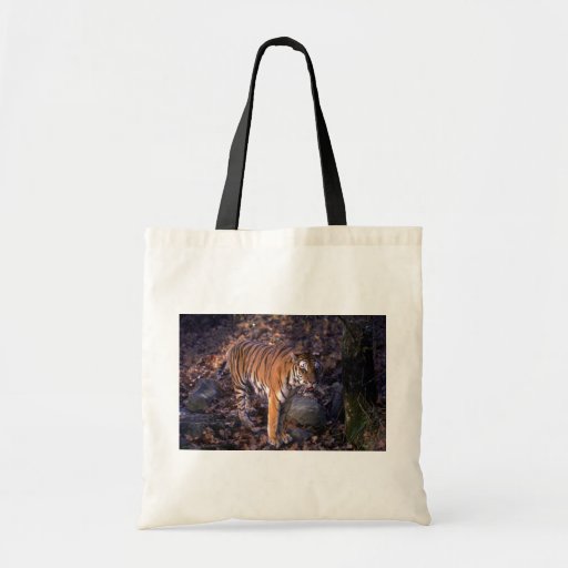 Bengal Tiger standing in forest glade Canvas Bags