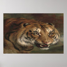 Bengal Tiger watching you poster