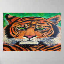 Bengal Tiger watching you poster Drawing