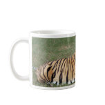Bengal Tigers Mug