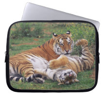 Bengal tigers playing laptop computer sleeve