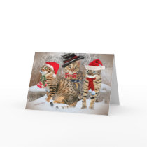 Bengal's Christmas Day gifts & Apparel cards by friskybiz Bengal's Christmas Day gifts & Apparel cards