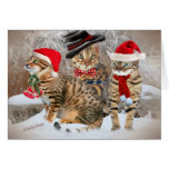 Bengal's Christmas Day gifts & Apparel Cards