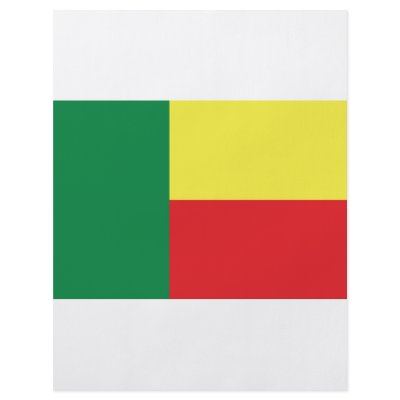 benin africa flag icon flyers by TomaniacLines