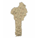 Benin Flag and Map T-Shirt