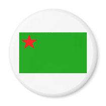 Benin Flag magnets