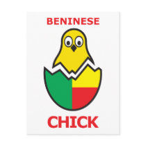 Beninese Chick Post Cards