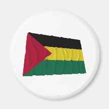 Benishangul-Gumaz Waving Flag Fridge Magnets